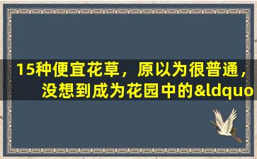 15种便宜花草，原以为很普通，没想到成为花园中的“颜值担当”