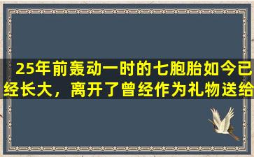 25年前轰动一时的七胞胎如今已经长大，离开了曾经作为礼物送给她们的大别墅。