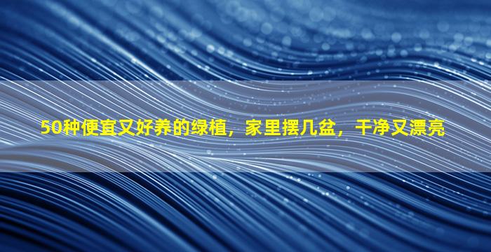 50种便宜又好养的绿植，家里摆几盆，干净又漂亮