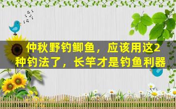 仲秋野钓鲫鱼，应该用这2种钓法了，长竿才是钓鱼利器