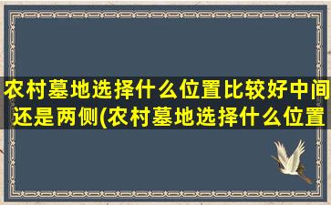 农村墓地选择什么位置比较好中间还是两侧(农村墓地选择什么位置比较好平原)