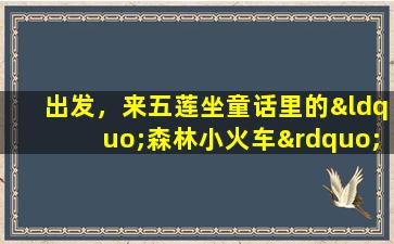 出发，来五莲坐童话里的“森林小火车”！