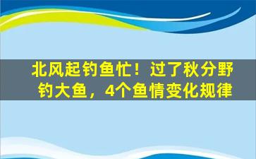 北风起钓鱼忙！过了秋分野钓大鱼，4个鱼情变化规律