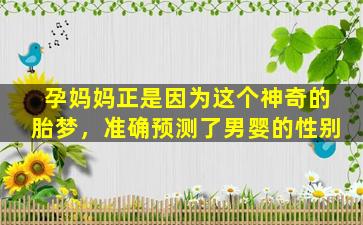 孕妈妈正是因为这个神奇的胎梦，准确预测了男婴的性别