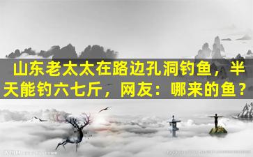 山东老太太在路边孔洞钓鱼，半天能钓六七斤，网友：哪来的鱼？