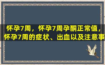 怀孕7周，怀孕7周孕酮正常值，怀孕7周的症状、出血以及注意事项