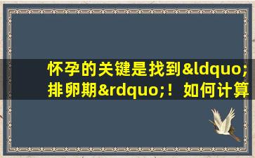 怀孕的关键是找到“排卵期”！如何计算排卵期？这4个小窍门简单又有效