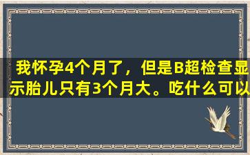 我怀孕4个月了，但是B超检查显示胎儿只有3个月大。吃什么可以促进胎儿生长？