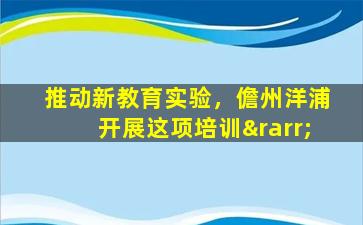 推动新教育实验，儋州洋浦开展这项培训→