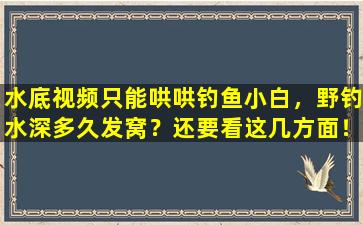 水底视频只能哄哄钓鱼小白，野钓水深多久发窝？还要看这几方面！