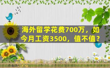 海外留学花费700万，如今月工资3500，值不值？