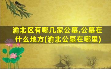 渝北区有哪几家公墓,公墓在什么地方(渝北公墓在哪里)