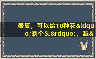 盛夏，可以给10种花“剃个头”，越“狠”越爱长