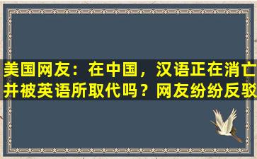 美国网友：在中国，汉语正在消亡并被英语所取代吗？网友纷纷反驳