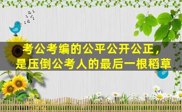 考公考编的公平公开公正，是压倒公考人的最后一根稻草