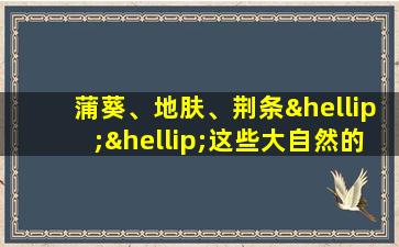 蒲葵、地肤、荆条……这些大自然的植物，竟是人类最实用的东西