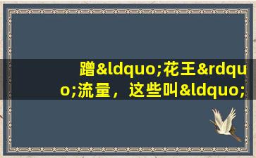 蹭“花王”流量，这些叫“牡丹”却不是牡丹的植物，你认识几种？