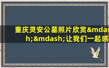 重庆灵安公墓照片欣赏——让我们一起感受这片静谧的安息之地