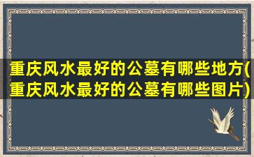 重庆风水最好的公墓有哪些地方(重庆风水最好的公墓有哪些图片)