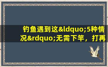 钓鱼遇到这“5种情况”无需下竿，打再多窝料也难钓到鱼