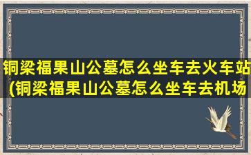 铜梁福果山公墓怎么坐车去火车站(铜梁福果山公墓怎么坐车去机场)